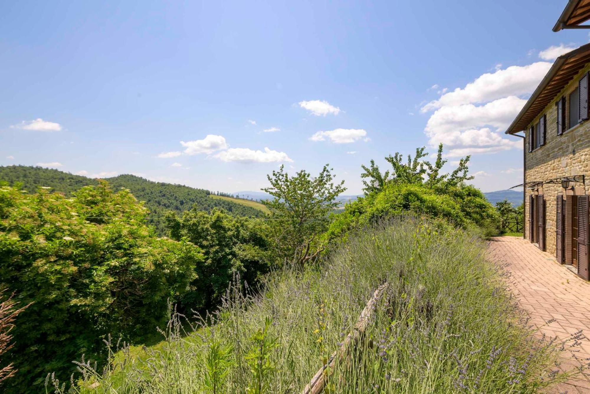 Castel D'alfiolo-barcomonte Farm stay *